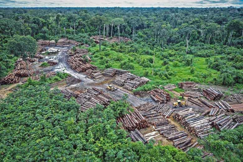 違法伐採は 未だ人間の手が加わっていないアマゾンの中心まで迫っている 恐ろしい 研究結果から判明 Gnv